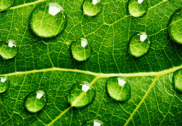 防水企業(yè)家必看：大數(shù)據(jù)時(shí)代來(lái)臨，防水行業(yè)會(huì)有哪些改變v